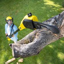 Best Emergency Tree Removal  in Camp Croft, SC