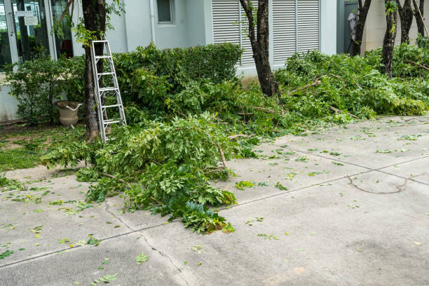 Best Tree Maintenance Programs  in Camp Croft, SC