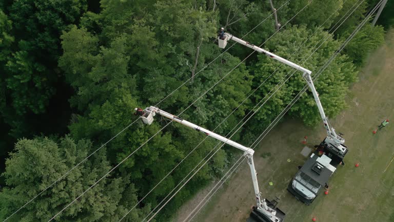 Best Utility Line Clearance  in Camp Croft, SC